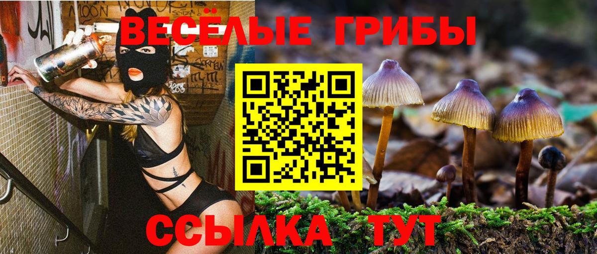 Галлюциногенные грибы Cubensis Кинель